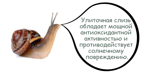 loading=lazy width=580 height=290