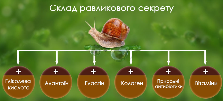 loading=lazy width=950 height=430